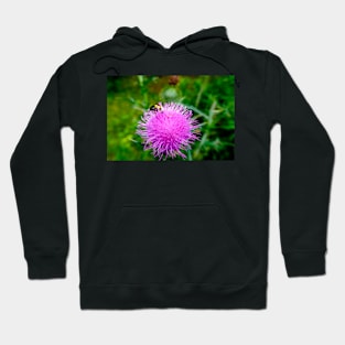 Bee On Pink Flowering Thistle Hoodie